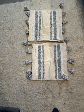 Cream and Gray Tassel Throw Pillow Covers (Pair)